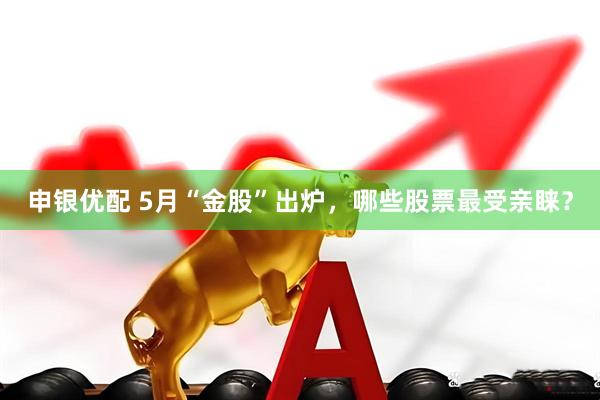 申银优配 5月“金股”出炉，哪些股票最受亲睐？