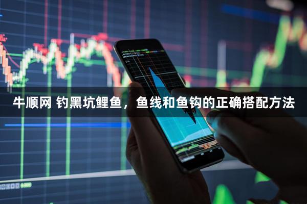 牛顺网 钓黑坑鲤鱼，鱼线和鱼钩的正确搭配方法