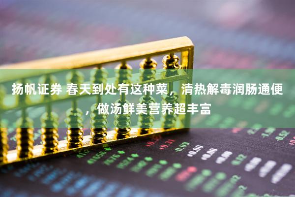 扬帆证券 春天到处有这种菜，清热解毒润肠通便，做汤鲜美营养超丰富