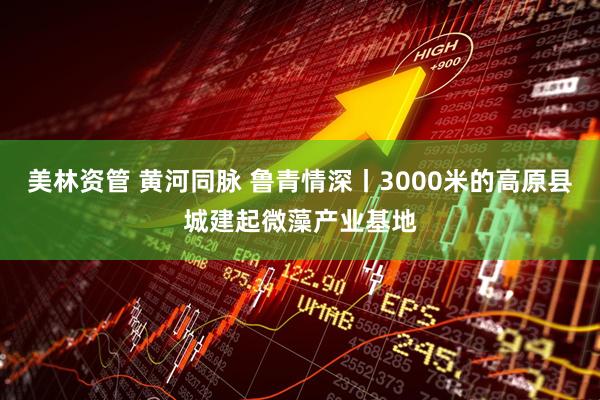 美林资管 黄河同脉 鲁青情深丨3000米的高原县城建起微藻产业基地
