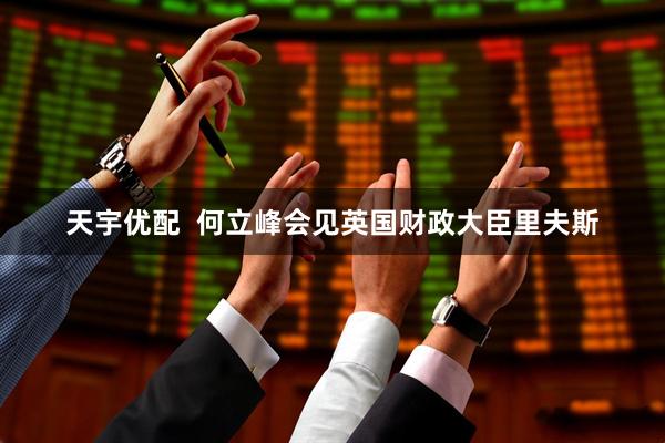 天宇优配  何立峰会见英国财政大臣里夫斯