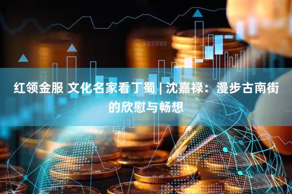 红领金服 文化名家看丁蜀 | 沈嘉禄：漫步古南街的欣慰与畅想