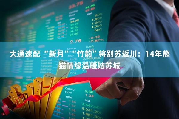 大通速配 “新月”“竹韵”将别苏返川：14年熊猫情缘温暖姑苏城