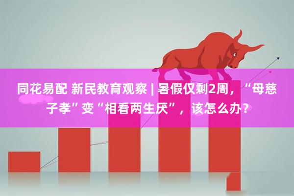 同花易配 新民教育观察 | 暑假仅剩2周，“母慈子孝”变“相看两生厌”，该怎么办？
