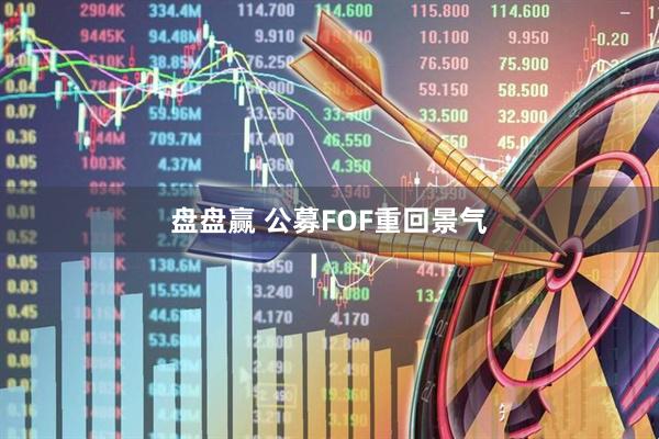 盘盘赢 公募FOF重回景气