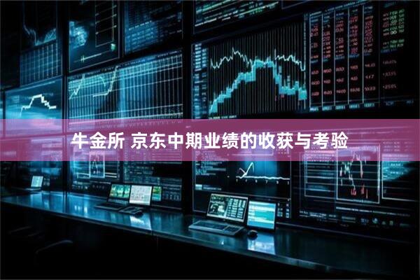 牛金所 京东中期业绩的收获与考验