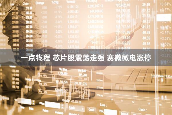 一点钱程 芯片股震荡走强 赛微微电涨停