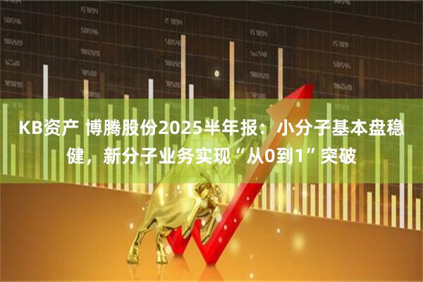 KB资产 博腾股份2025半年报：小分子基本盘稳健，新分子业务实现“从0到1”突破