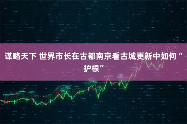 谋略天下 世界市长在古都南京看古城更新中如何“护根”
