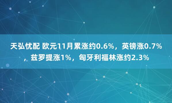 天弘忧配 欧元11月累涨约0.6%，英镑涨0.7%，兹罗提涨1%，匈牙利福林涨约2.3%