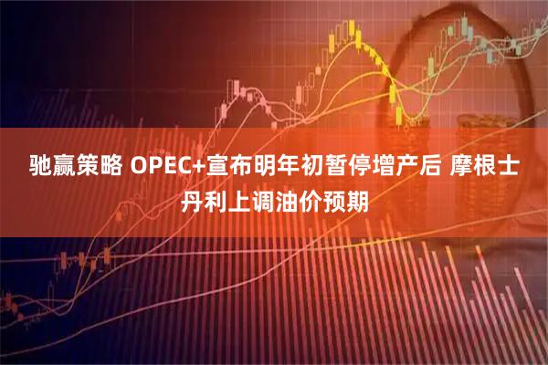 驰赢策略 OPEC+宣布明年初暂停增产后 摩根士丹利上调油价预期