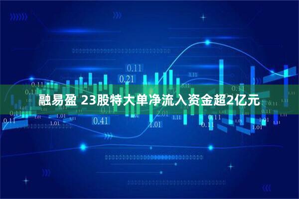 融易盈 23股特大单净流入资金超2亿元