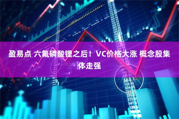 盈易点 六氟磷酸锂之后！VC价格大涨 概念股集体走强