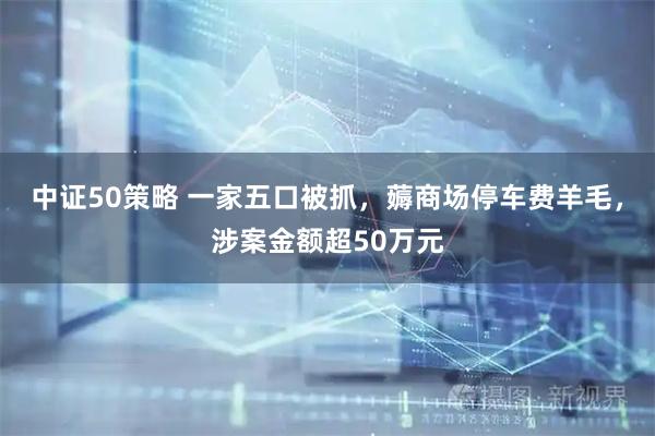 中证50策略 一家五口被抓，薅商场停车费羊毛，涉案金额超50万元