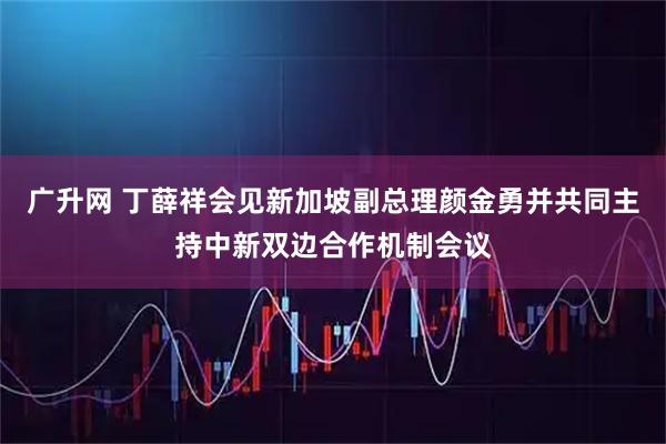 广升网 丁薛祥会见新加坡副总理颜金勇并共同主持中新双边合作机制会议